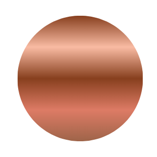 Rose Gold Earrings